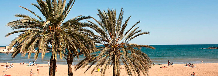 Beaches of Barcelona