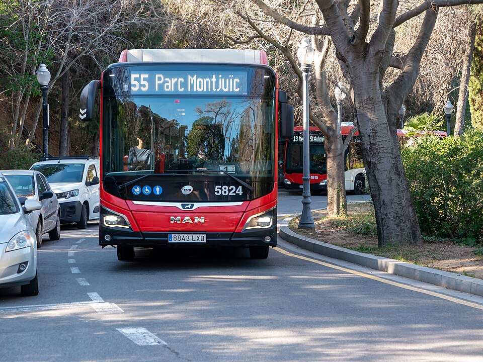 como llegar a la ibtm en bus